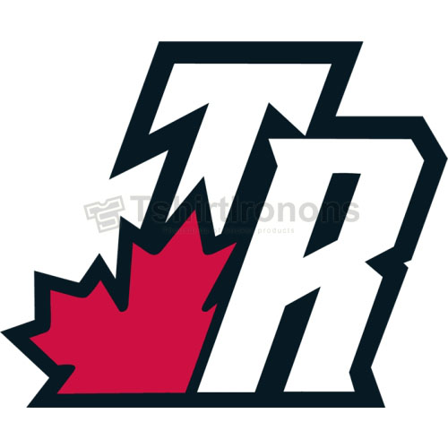 Toronto Raptors T-shirts Iron On Transfers N1205